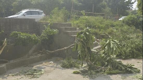 The incident took place around 7.30am near Sain Chowk in Vijay Nagar and was captured by a CCTV camera installed nearby, police said. (Sakib Ali/HT Photo)