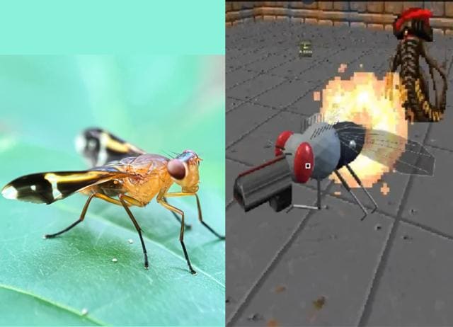 Scientists just mapped a male fruit fly’s brain. Now people are training it to play Doom. (SHUTTERSTOCK)