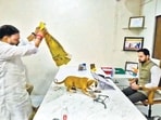 Aaditya Thackeray asks Sena (UBT) worker to apologise over dog protest
