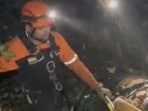 Tree halts truck’s plunge into 500-foot-deep gorge, gives rescuers time to save driver