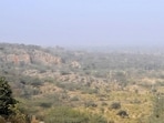 According to the forest department, the state has no recent population estimates for wildlife in the Aravallis (HT)
