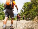 Uttarakhand will map 100 major trekking and hiking routes using Global Positioning System (GPS) and Geographic Information System (GIS) technology to improve trekker safety (Representative photo)