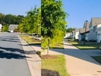 An Indian woman shared the less glamorous side of life in the US, showing empty streets at 9 am.(Instagram/dil_mange_reels)