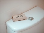 That blood in the toilet may not be piles but a fissure. (Unsplash)