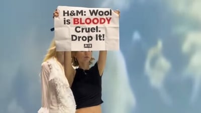 The PETA protest sparked online debate over the use of wool versus synthetic textiles. (Instagram/ WWD)