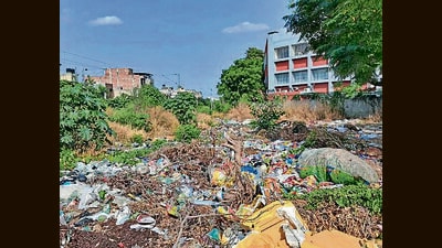 Waste dumped near Guru Nanak Public School at Model Town Extension in Ludhiana on Friday. (Gurpreet Singh/ht) Waste dumped near Guru Nanak Public School at Model Town Extension in Ludhiana on Friday. (Gurpreet Singh/ht)