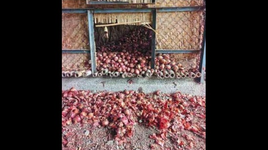 .While onions from 13 units had already been sold, produce from the remaining seven units was stored pending sale. (HT)