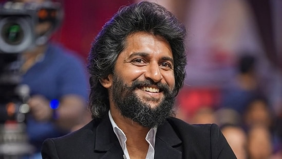 Nani questioned the validity of the term 'pan-Indian cinema'.
