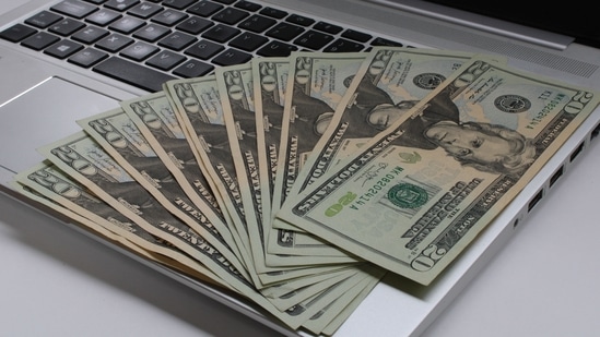 Indian HNIs pursue US residency, but investment risk is now part of the Green Card calculation. (Representational photo) (Pexel)