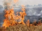 The rules have, however, retained the environmental compensation rates for stubble burning introduced in 2023. (HT)
