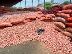 The all-India average retail price of onion was <span class='webrupee'>₹</span>53.86 per kg on September 18.(HT Photo)