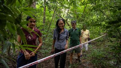 BMC explores new route for road through Powai forest; 122 trees may be saved. (Satish Bate/Hindustan Times) BMC explores new route for road through Powai forest; 122 trees may be saved. (Satish Bate/Hindustan Times)