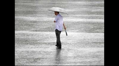 The 2025 monsoon rainfall was Punjab’s highest since 1995 and the ninth-highest since 1901. (HT File) The 2025 monsoon rainfall was Punjab’s highest since 1995 and the ninth-highest since 1901. (HT File)