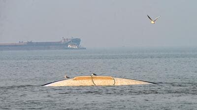 The accident, one of the deadliest accidents in the Mumbai harbour, took place on December 18, 2024, as the passenger ferry, the Neel Kamal, sailed from the Gateway of India to Elephanta Island, with around 100 passengers on board. (Hindustan Times) The accident, one of the deadliest accidents in the Mumbai harbour, took place on December 18, 2024, as the passenger ferry, the Neel Kamal, sailed from the Gateway of India to Elephanta Island, with around 100 passengers on board. (Hindustan Times)