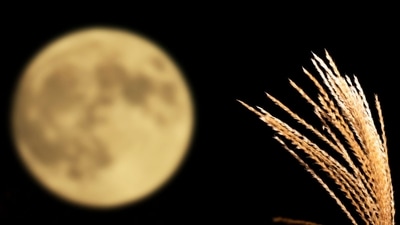A Harvest Full Moon or the September Full Moon. (Photo by Katsumi Murouchi via Getty Images) A Harvest Full Moon or the September Full Moon. (Photo by Katsumi Murouchi via Getty Images)