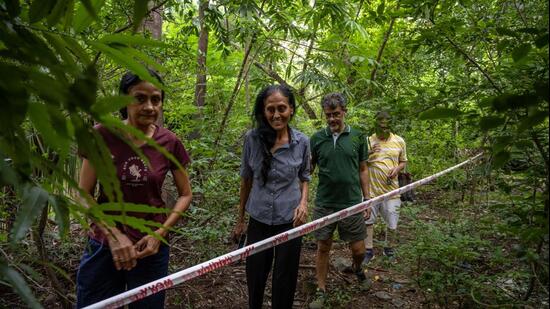 BMC explores new route for road through Powai forest; 122 trees may be saved. (Satish Bate/Hindustan Times)