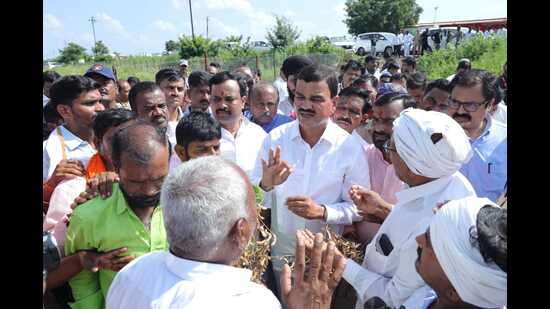 Bharne assured elected representatives that the state government would make every effort to secure maximum compensation and assistance for affected farmers. (HT)