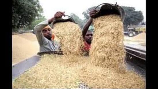 Over 80 stalls have been established at the fair by farmers. (HT)
