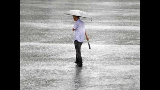 The 2025 monsoon rainfall was Punjab’s highest since 1995 and the ninth-highest since 1901. (HT File)