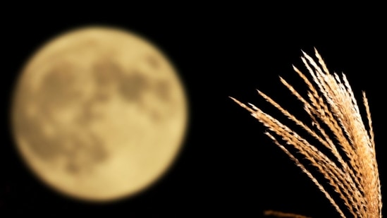 A Harvest Full Moon or the September Full Moon.