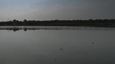 The 22-km Yamuna stretch between Wazirabad and Okhla is the most polluted part of the river, with 22 major drains flowing into the river stream. (HT Photo) The 22-km Yamuna stretch between Wazirabad and Okhla is the most polluted part of the river, with 22 major drains flowing into the river stream. (HT Photo)