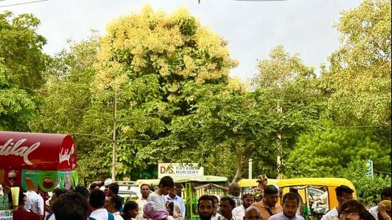 Delhiwale: Autumn’s first look