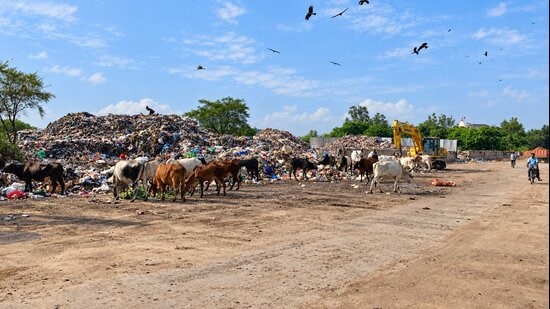 The Khandsa SCP (as seen on September 17) is located near a government school and the main market, raising concerns over hygiene, safety and access for residents and commuters. (HT)