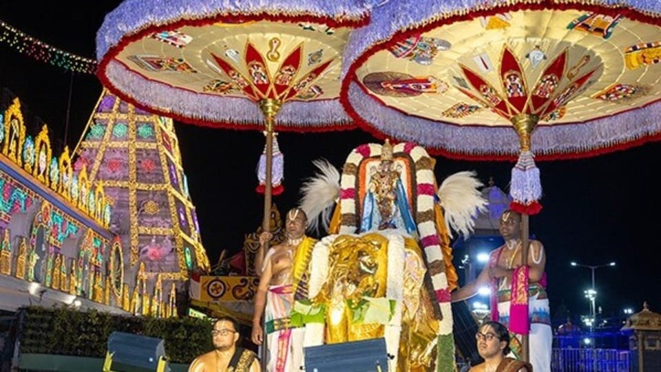 <p>శ్రీ మలయప్ప స్వామివారు గజ వాహనాన్ని అధిరోహించిన రోజునే కాకుండా బ్రహ్మోత్సవాల ఇతర వాహనసేవల సమయంలోనూ టీటీడీ గజరాజులు ప్రత్యేకంగా పాల్గొని ఉత్సవ వైభవాన్ని ఇనుమడింపజేస్తాయి.</p>