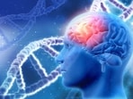 Know how your brain changes when you smoke and drink. 