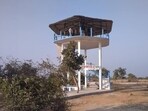 Blackbuck sanctuary in Chand Khamaria in Prayagraj. (HT FILE PHOTO)