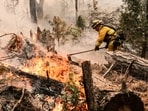 A helicopter crash during firefighting operations at Yosemite National Park resulted in the deaths of two crew members on Sunday.