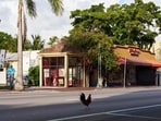 Calle Ocho in Miami’s Little Havana neighborhood.