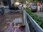 iMumbai, India - September 20, 2026: 19-year-old Rohit Bhimsing Rathod, who died after receiving an electric shock during Ganpati idol immersion, at the Lokmanya Tilak Ganesh Visarjan Talav in Shyam Nagar, Jogeshwari East, Mumbai, on Saturday night in mumbai, India, on Sunday, September 20, 2026. (Photo by Satish Bate/ Hindustan Times) (Hindustan Times)