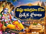 ఏకాదశి వ్రతంతో పాటు ఈ మంత్రాలు పఠించండి.. విష్ణు అనుగ్రహం కోసం ప్రత్యేక శ్లోకాలు(AI)