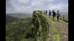 In rain deficit Maharashtra, Bhira and Tamhini close in on 10,000mm mark, Solapur gets just 159.5mm