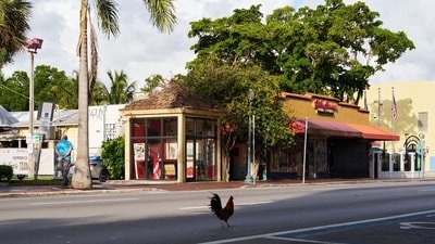 Calle Ocho in Miami’s Little Havana neighborhood. Calle Ocho in Miami’s Little Havana neighborhood.