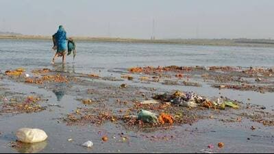 Under the ‘Namami Gange’ initiative, Shukla and other volunteers collected debris scattered along the banks of Dashashwamedh Ghat and handed it over to the Varanasi Nagar Nigam team. (For representation only) Under the ‘Namami Gange’ initiative, Shukla and other volunteers collected debris scattered along the banks of Dashashwamedh Ghat and handed it over to the Varanasi Nagar Nigam team. (For representation only)