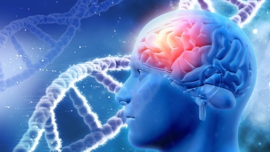 Know how your brain changes when you smoke and drink.