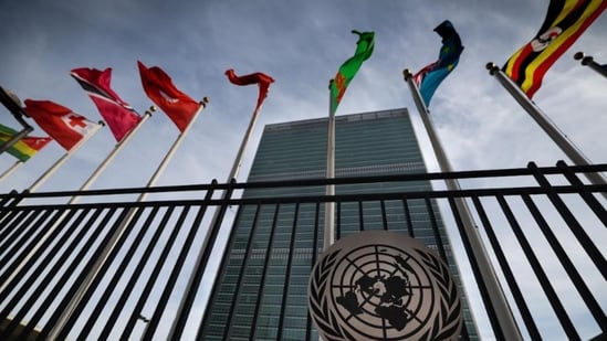 With the paralysis of UNSC decision-making, there is realisation that reform is the only way to reclaim the UN’s role in world affairs.