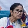 দলের নাম এবং নির্বাচনী প্রতীক নিয়ে তৃণমূলের দুই শিবিরের মধ্যে টানাপোড়েন চলছে।
