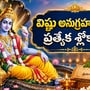 ఏకాదశి వ్రతంతో పాటు ఈ మంత్రాలు పఠించండి.. విష్ణు అనుగ్రహం కోసం ప్రత్యేక శ్లోకాలు