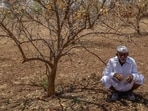 The study found that northwest India logged the strongest trends in maximum-temperature extremes, humid heat and heatwave severity. 