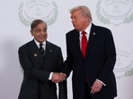 US President Donald Trump termed Pakistani Prime Minister Shehbaz Sharif (L) as a 'terrific man'(REUTERS)