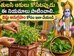 తులసి పూజలో ఈ నియమాలు పాటిస్తే.. ఇంట్లో శాంతి, సానుకూలత.. తులసి దళాలను దేవుడికి సమర్పించేటప్పుడు ఈ విషయాలు పాటించండి!(AI)