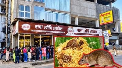 দাদা বউদির ব্যারাকপুর আউটলেটে ইঁদুর নিয়ে ধুন্ধুমার।