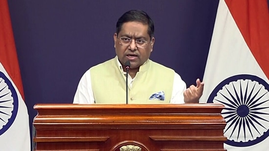 MEA Spokesperson Randhir Jaiswal. (ANI Video Grab)