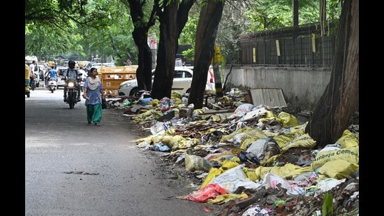 The regulations also provide for community patrollers and cleanliness committees to monitor compliance across the NDMC area. (HT archives)