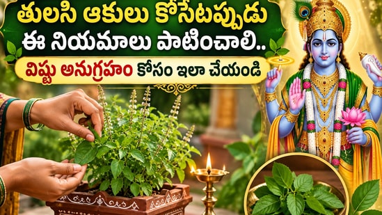 తులసి పూజలో ఈ నియమాలు పాటిస్తే.. ఇంట్లో శాంతి, సానుకూలత.. తులసి దళాలను దేవుడికి సమర్పించేటప్పుడు ఈ విషయాలు పాటించండి! (AI)