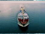 What It Takes to Build a Global Aloe Vera Supply Chain at Scale