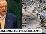 Israeli delegates exit UN hall as this NATO leader delivers fiery Gaza charge